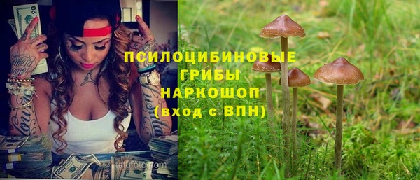 бошки Беломорск