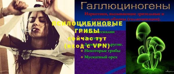 бошки Беломорск