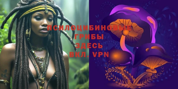 бошки Беломорск