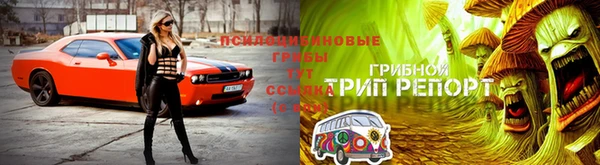 кокаин колумбия Белокуриха
