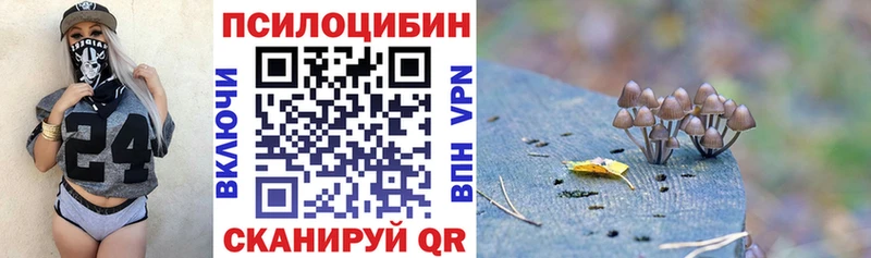 Псилоцибиновые грибы прущие грибы  купить  цена  Краснокаменск 